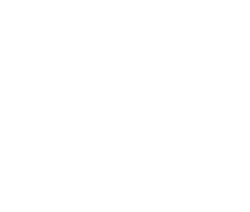 THE FINE ART STORE